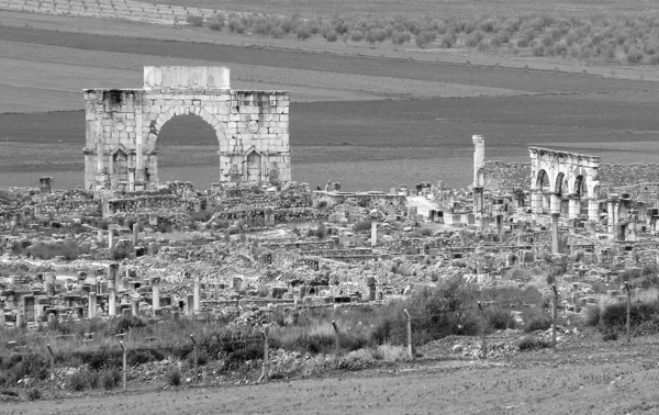 Archaeological Site Volubilis Morocco Black White — Stock Photo, Image