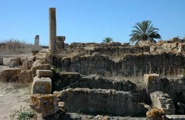 Archaeological Site Banassa Morocco — Stock Photo, Image