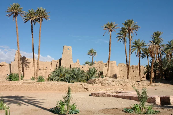 モロッコ南東部の図のヤシの木 — ストック写真