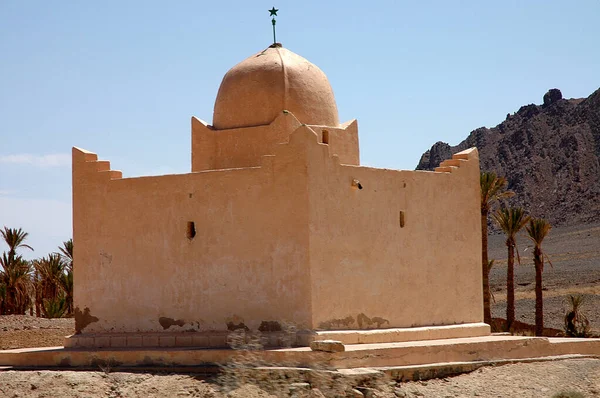 Palmeral Figuig Sureste Marruecos — Foto de Stock