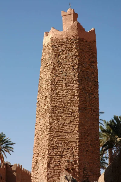 Пальмовий Гай Фігейг Південно Східній Частині Марокко — стокове фото