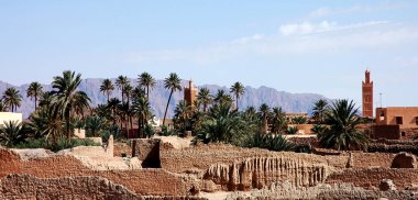 Fas 'ın güneydoğusundaki Figuig Palmiyesi.