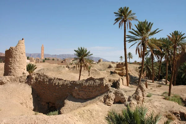 Palm Grove Figuig South Eastern Morocco — Stock Photo, Image