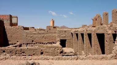 Fas 'ın güneydoğusundaki Figuig Palmiyesi.