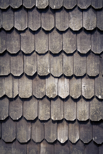 Larch shingles in Chiloe, Chile.