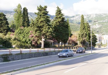 Karadağ Kotor Körfezi dağ manzarası, şehir