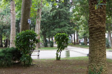 Karadağ 'da Negushi ve Kotor Körfezi görülüyor