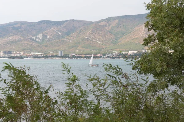 Rusya Gelendzhik Körfezi Yazı