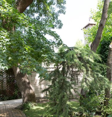 Rusya Gelendzhik eski park turizmi