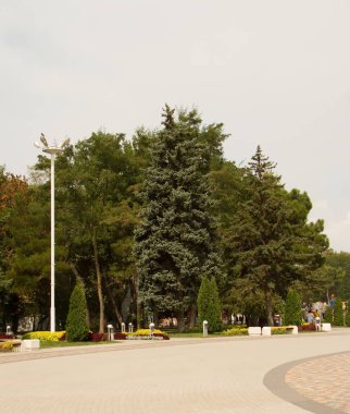 Rusya yaz turizminde Anapa şehrine bakıyor