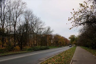 Rusya yazın Moskova şehrine bakıyor