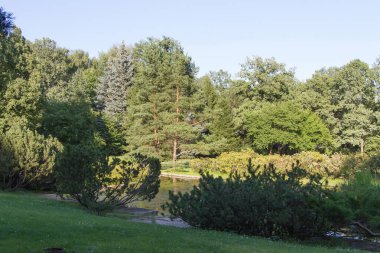 Rusya yazın Moskova şehrine bakıyor