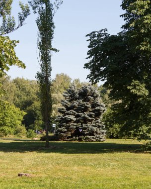 Rusya yazın Moskova şehrine bakıyor
