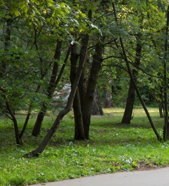 Rusya yazın Moskova şehrine bakıyor