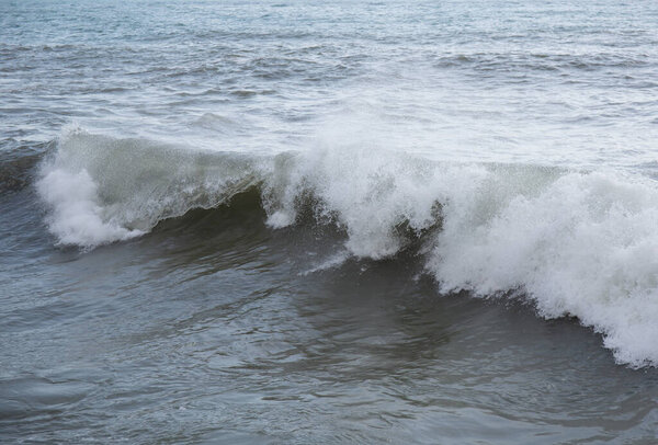 Весной южное побережье Крыма