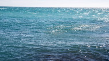 Baharda Kırım Ukrayna 'daki Yalta şehrinin güzel manzarası