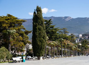 Baharda Kırım Ukrayna 'daki Yalta şehrinin güzel manzarası