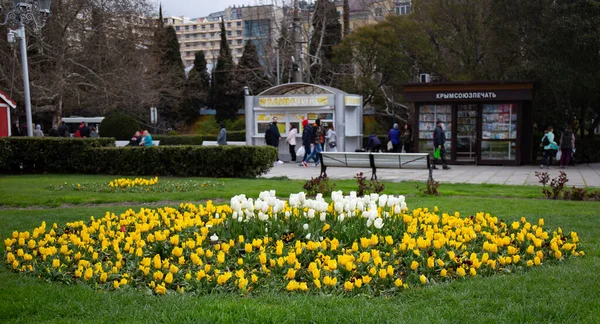 Gyönyörű Kilátás Nyílik Város Jalta Krím Ukrajna Tavasszal — Stock Fotó