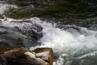  Dağdan Altai Dağları 'ndaki Katun Nehri' ne kadar çok güzel manzaralar var.