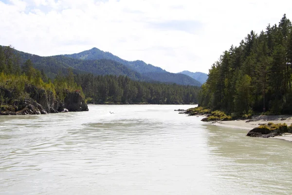  Dağdan Altai Dağları 'ndaki Katun Nehri' ne kadar çok güzel manzaralar var.