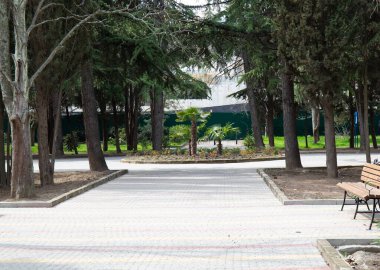 İlkbaharda Alushta şehrindeki eski parktaki ağaçların arasında kaldırım taşlarından yapılmış güzel bir patika.