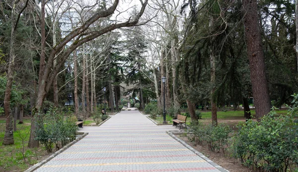 Hermoso Camino Hecho Adoquines Entre Los Árboles Antiguo Parque Primavera —  Fotos de Stock