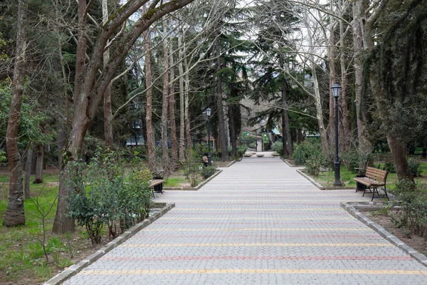 İlkbaharda Alushta şehrindeki eski parktaki ağaçların arasında kaldırım taşlarından yapılmış güzel bir patika.
