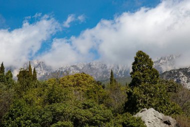 Vorontsov Kalesi 'nden Ai-Petri dağının bahar manzarası