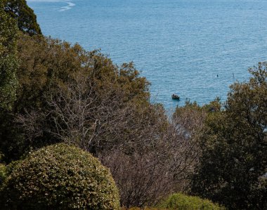 İlkbaharda Vorontsov Şatosu Kırım 'dan Karadeniz' in arka planındaki ağaçların görüntüsü
