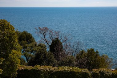 İlkbaharda Vorontsov Şatosu Kırım 'dan Karadeniz' in arka planındaki ağaçların görüntüsü