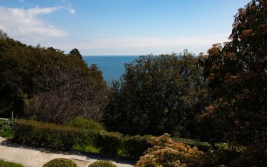 İlkbaharda Vorontsov Şatosu Kırım 'dan Karadeniz' in arka planındaki ağaçların görüntüsü