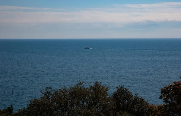 Άποψη Των Δέντρων Την Άνοιξη Στο Φόντο Της Μαύρης Θάλασσας — Φωτογραφία Αρχείου