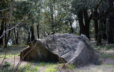 Kırım Yarımadası Yalta şehrinin Vorontsov Parkı 'ndaki eski taşların manzarası