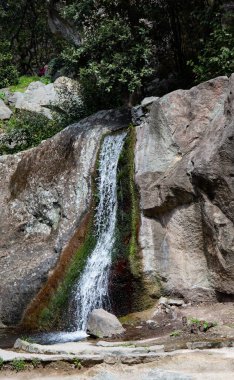 Kırım yarımadasındaki Yalta şehrinin Vorontsov Parkı 'nda yapay şelale.