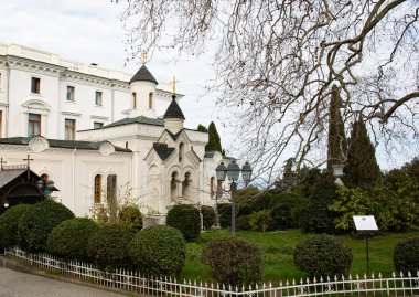 Yalta şehrindeki Livadia Sarayı 'nın parkındaki çalılar.