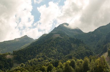 Dağın tepesi sık bir ormanla kaplıdır. 