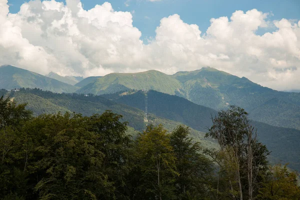 Dağın tepesi sık bir ormanla kaplıdır. 