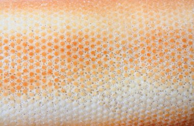 Baget, baget doku, baget aşağıdan yukarıya, fırında baget, lezzetli baget