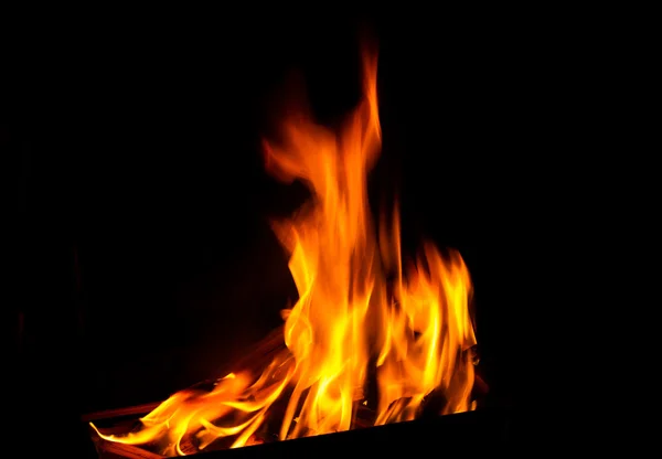 Ateş, alev, siyah, parlak, parlak, yanma, yanmış, kamp ateşi, renk, kopya, tehlike, kararlılık, verimlilik, öğe, parlayan, ısı, ışık, gizemli, hayat dolu, sarı