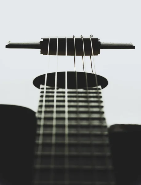 Gitarın farklı kısımları. Teller, boyun, perdeler, kasa, köprü gibi. Siyah beyaz fotoğraf.