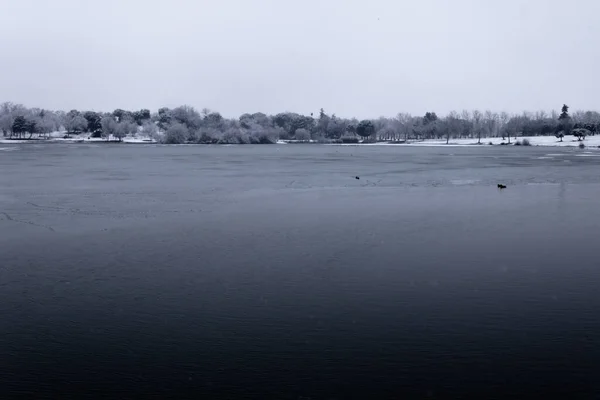 Lago Polvoranca Coberto Com Gelo Dia Grande Queda Neve Madrid — Fotografia de Stock