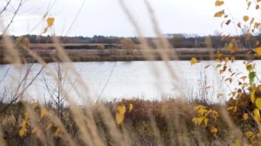 tepe nehri darıdan sonbahar manzarası