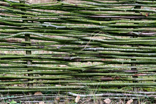Flexible Fence Made Willow Branches Country — Stock Photo, Image