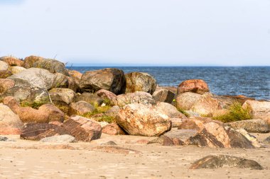 Bir yaz günü Riga Körfezi kıyısında büyük taş kayalar.