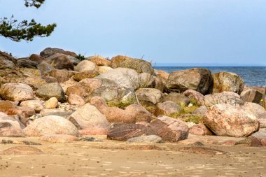 Bir yaz günü Riga Körfezi kıyısında büyük taş kayalar.