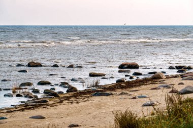 Bir yaz günü Riga Körfezi kıyısında büyük taş kayalar.