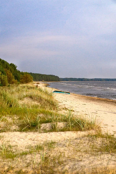 Берег Балтійського Моря Латвії Соснами Піщаних Дюнах Покинутим Дерев Яним — стокове фото