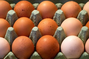 Kağıt tepside büyük kahverengi ve açık renkli yumurtalar.