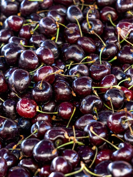 Cerise Douce Bordeaux Foncé Dans Une Boîte — Photo