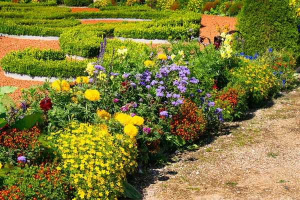 Vari fiori nell'aiuola. Bella aiuola in un parco estivo. — Foto Stock